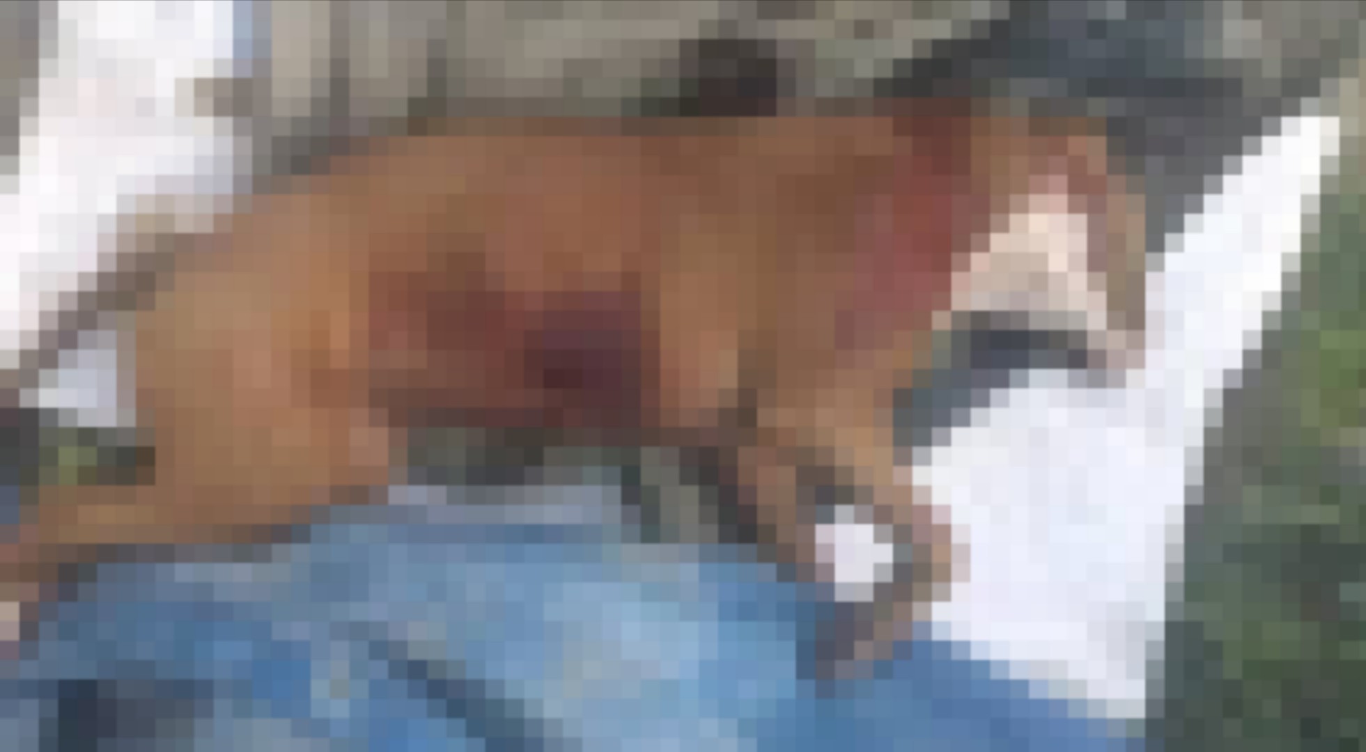 Padre salva a su hija de ataque de pitbull en Huajuapan