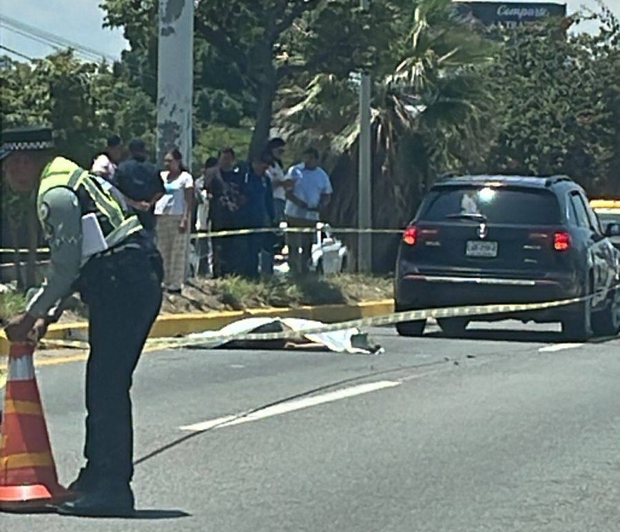 Joven pierde la vida al ser atropellado en la carretera 190
