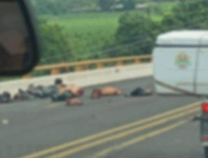 Abandonan restos humanos sobre la carretera Poza Rica-Cazones