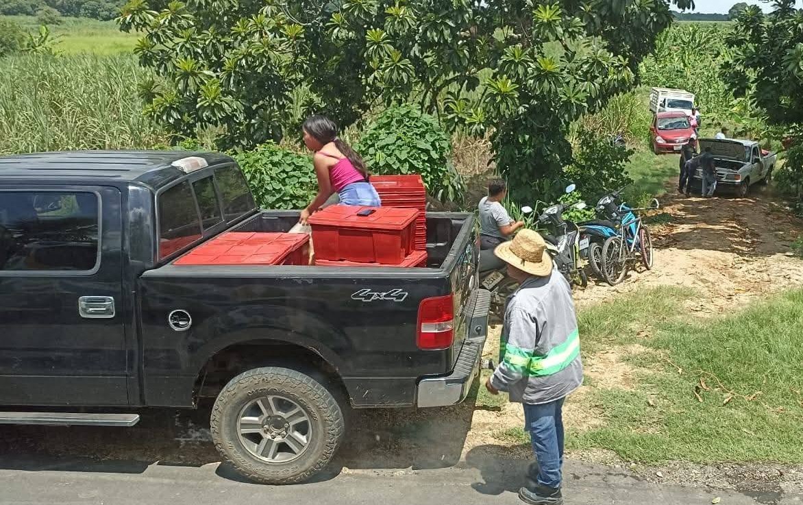 Rapiñan tráiler que trasportaba pollos congelados en Cosamaloapan, Veracruz