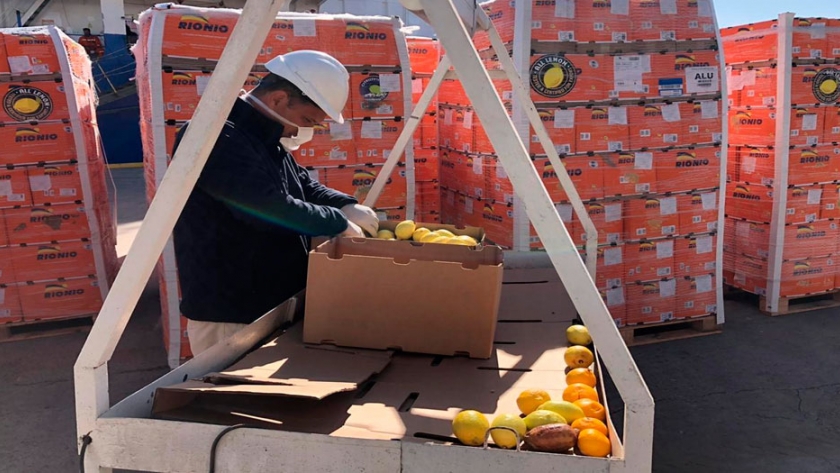 Aumentan 5.2% exportaciones atribuibles por entidad federativa en segundo trimestre 2025: Inegi