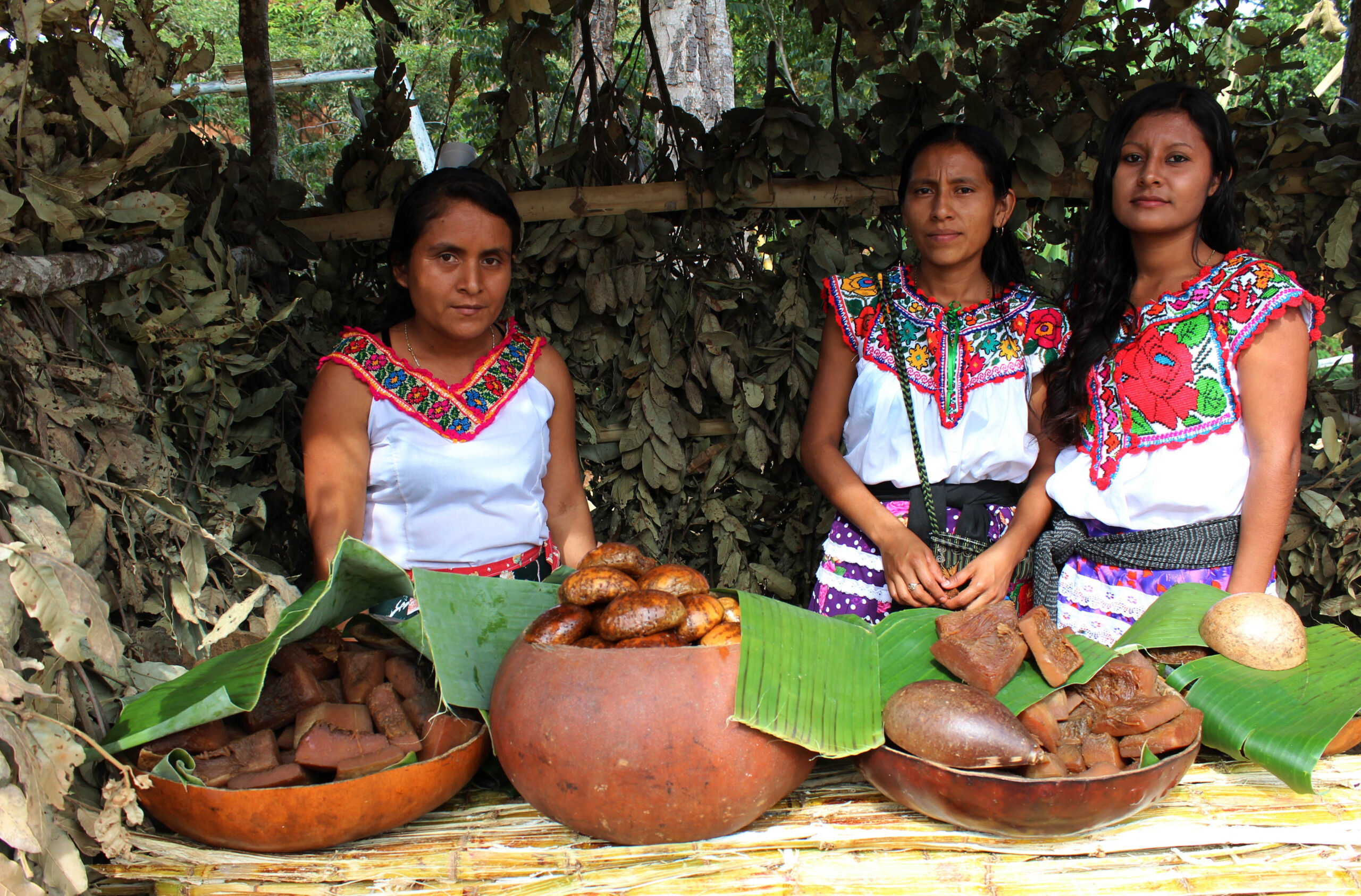 Diputados avalan reformas a la Ley de la Economía Social y Solidaria
