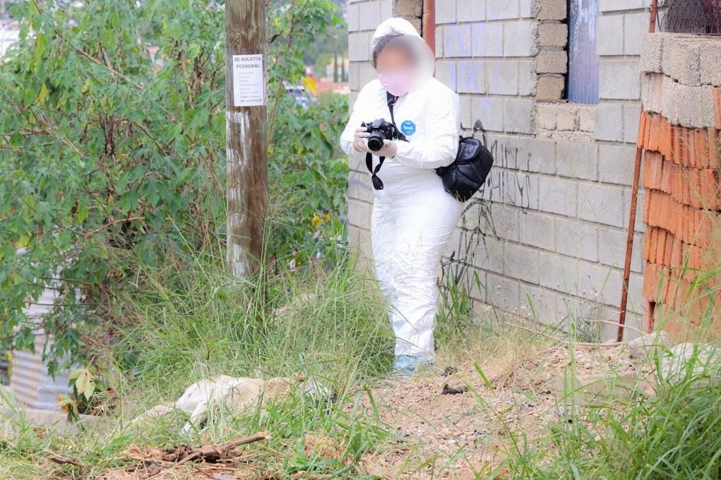 Investigan muerte de un perro tras agresión con cuchillo en San Martín Mexicapan; identifican al probable agresor