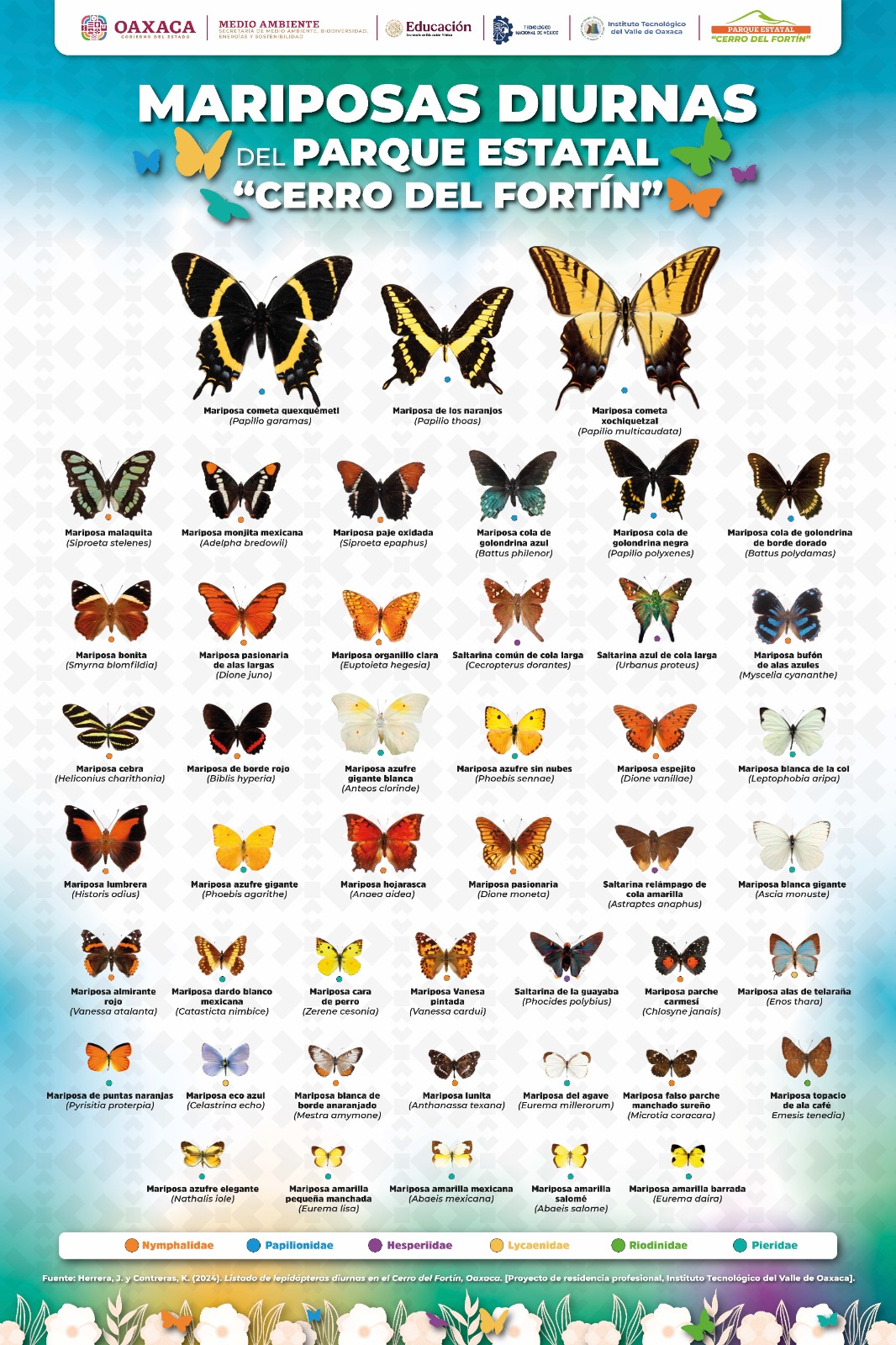 Identifican un acervo de 47 especies de mariposas en el Parque Estatal “Cerro del Fortín”