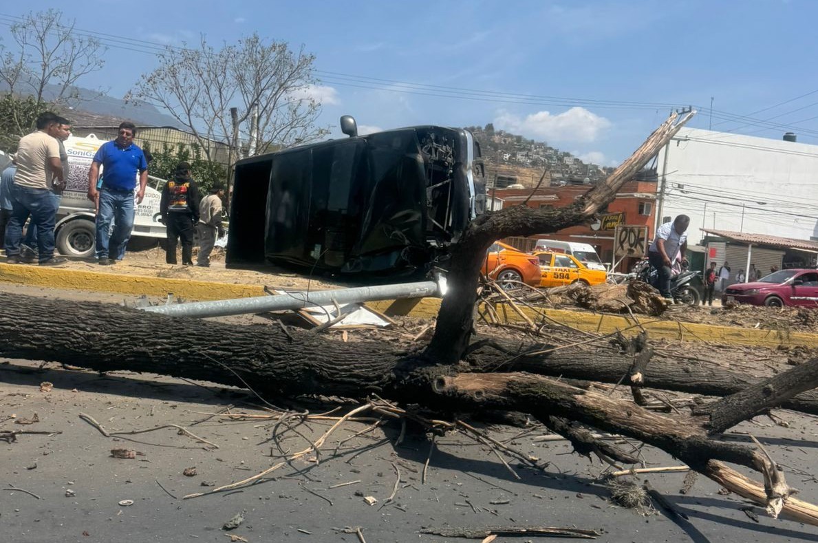 Vuelca camioneta tras impactarse contra un árbol en Santa Rosa Panzacola