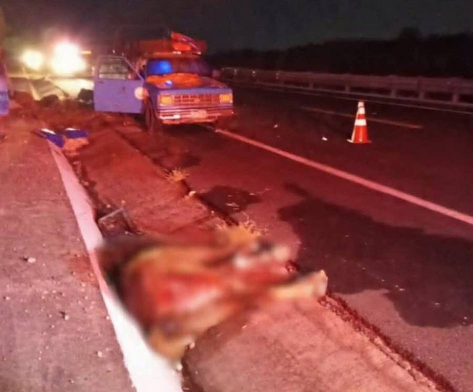 Chique frontal en la autopista Oaxaca – Cuacnopalan