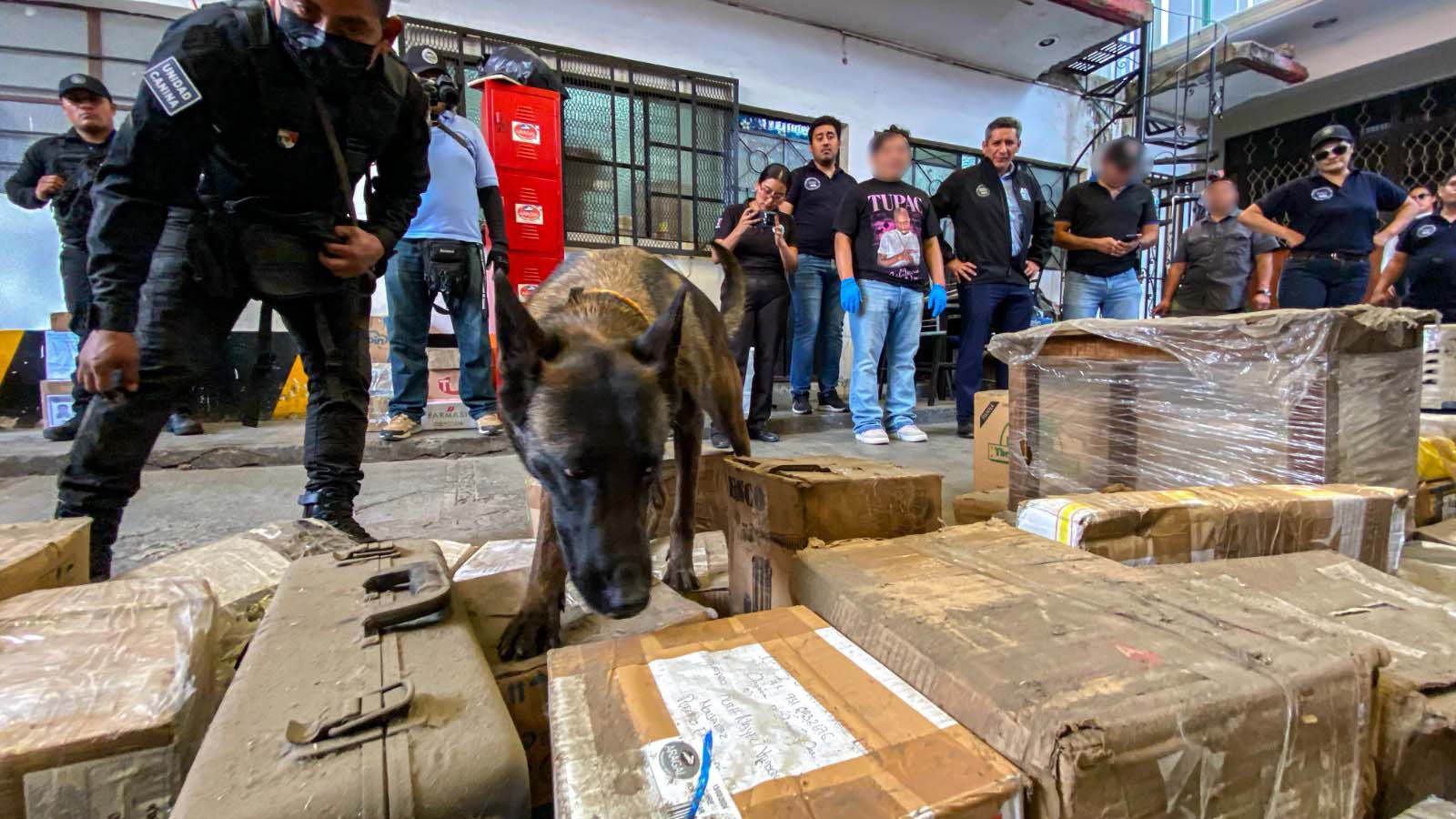 Detectan envío de drogas, armas y cartuchos, tras cateo en paqueterías de Oaxaca